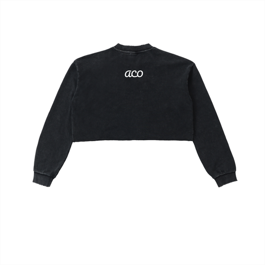 Snow Washed Raw Edge Cropped ACO Sweatshirt