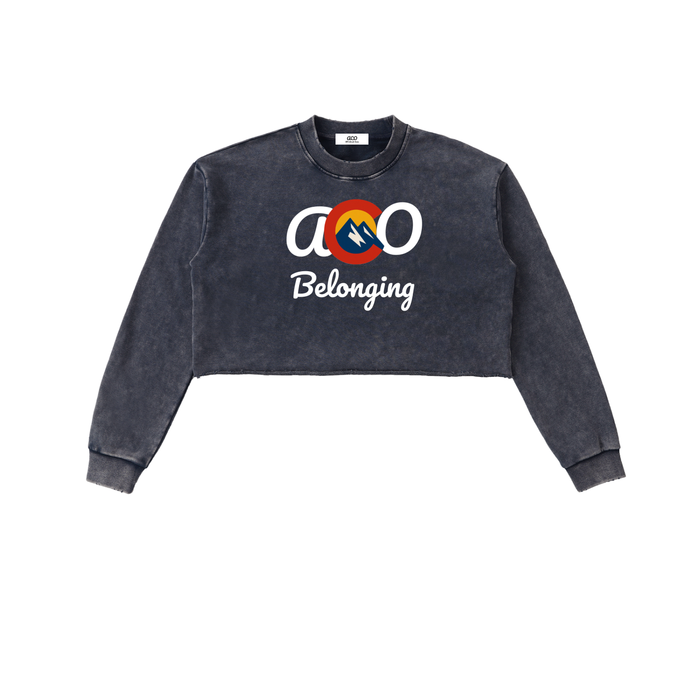 Snow Washed Raw Edge Cropped ACO Sweatshirt