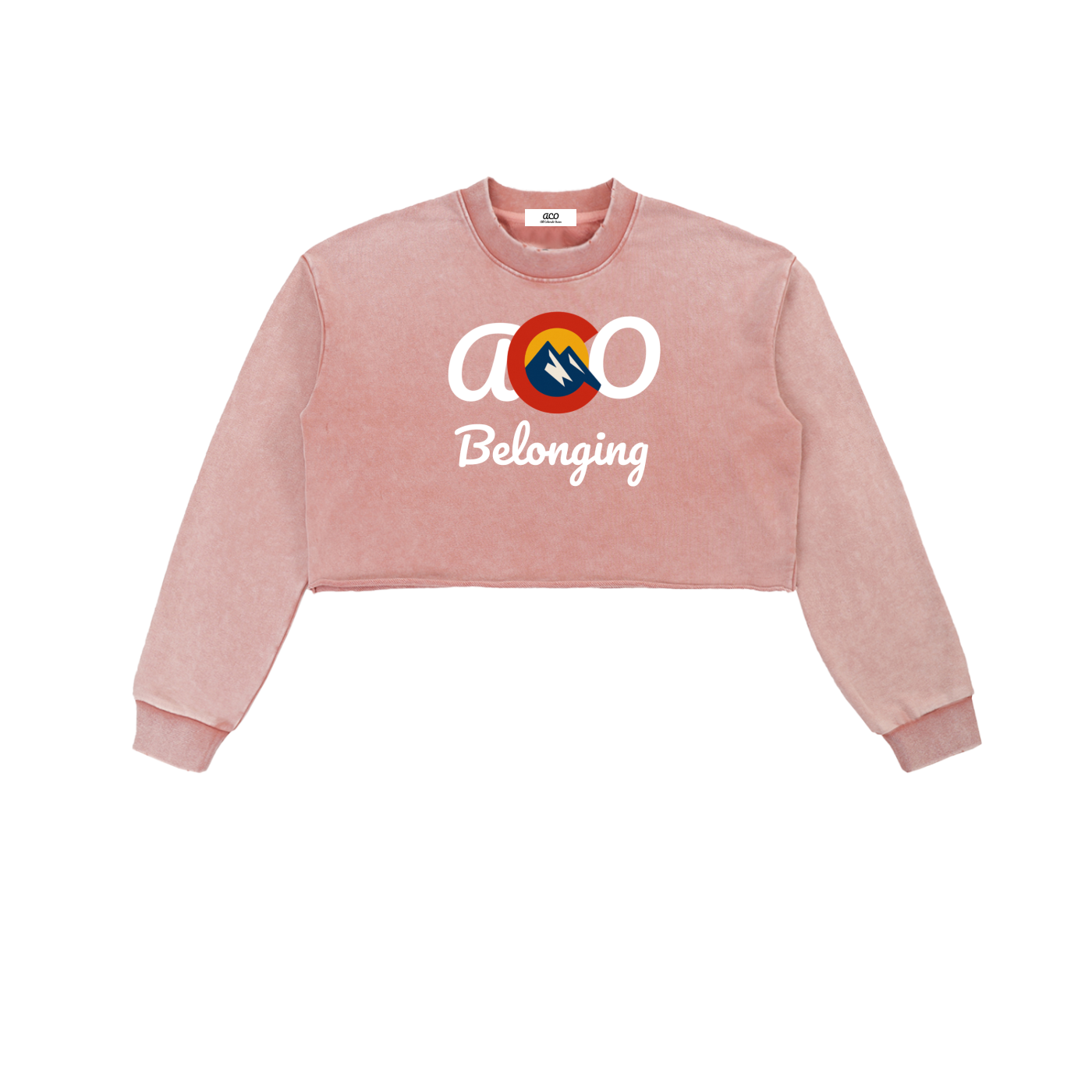 Snow Washed Raw Edge Cropped ACO Sweatshirt