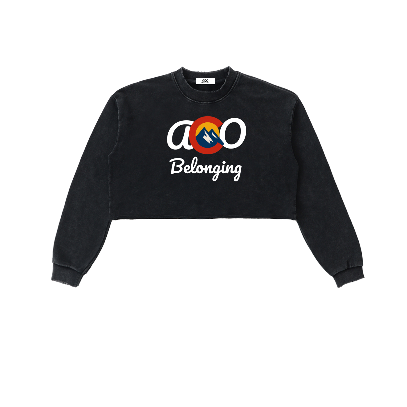 Snow Washed Raw Edge Cropped ACO Sweatshirt